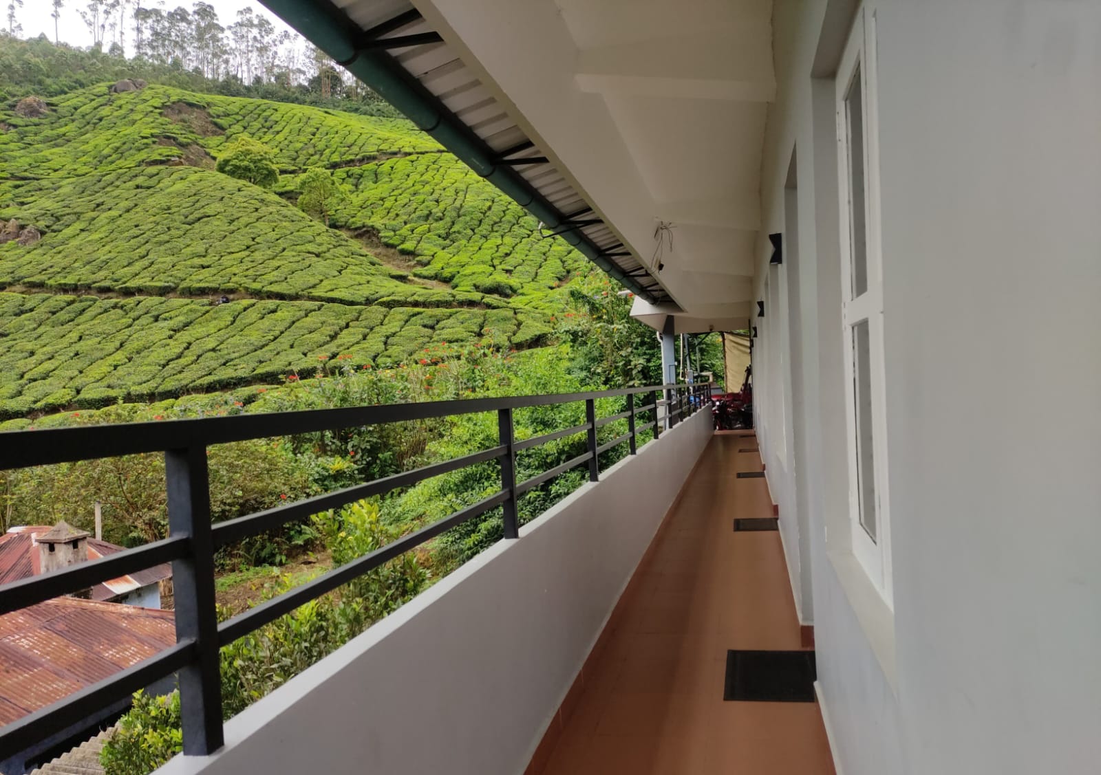 WhatsApp Image 2025-01-27 at 10.18.25 PM